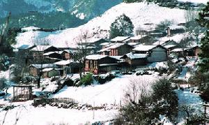 普米族使用普米語，屬漢藏語系藏緬語族羌語支