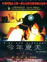 《今年夏天》