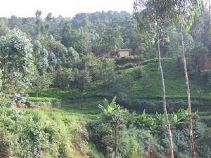 小阿峨自然村 小阿峨自然村