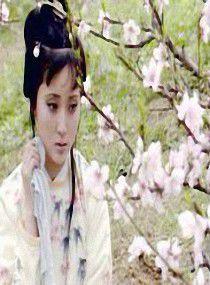 紅樓之顰似百花 紅樓之顰似百花