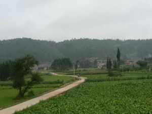 西租大寨村 西租大寨村