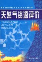 天然氣資源評價 天然氣資源評價