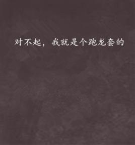 對不起,我就是個跑龍套的 對不起,我就是個跑龍套的