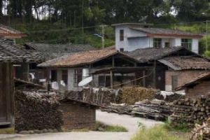 樟樹咀村 樟樹咀村