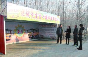 新河莊村 新河莊村