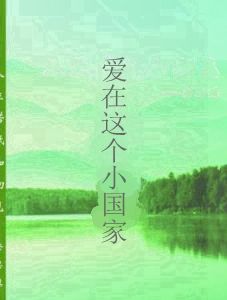 愛在這個小國家 愛在這個小國家