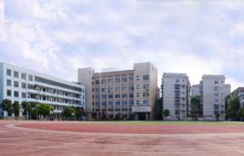 郴州三完小 郴州三完小