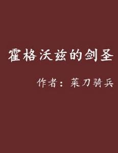 霍格沃茲的劍聖 霍格沃茲的劍聖