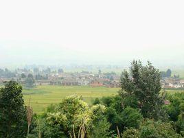 甜蕎地村 甜蕎地村