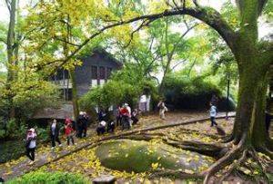 聚奎中學 聚奎中學