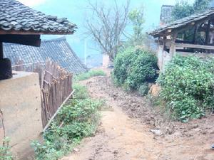 吉半自然村 吉半自然村