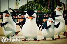 celebrate[UNIQ演唱的《馬達加斯加的企鵝》中文主題曲]