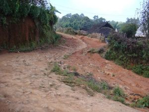 小呼拉新寨村 小呼拉新寨村