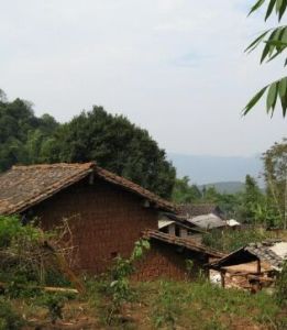 大平寨村 大平寨村