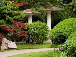 上海淞南公園 上海淞南公園