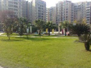 培華東路8號 培華東路8號