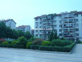 橋北社區[南京市浦口區泰山街道橋北社區]