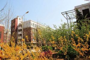 山東大學附屬中學