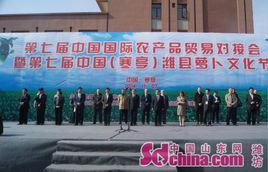 濰縣蘿蔔文化節 濰縣蘿蔔文化節