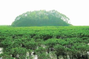 獨山背島 獨山背島