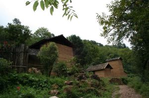 下岩頭自然村 下岩頭自然村