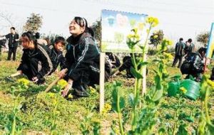 單位自供菜 單位自供菜