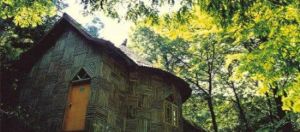 水杉山莊 水杉山莊