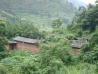 紙房坪村 紙房坪村