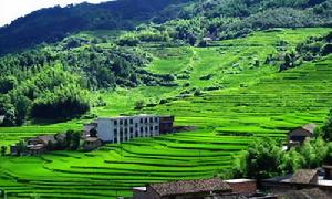 神州村[湖南省郴州市安仁縣牌樓鄉下轄村]