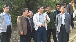 高峰鎮[貴州省安順市平壩縣]