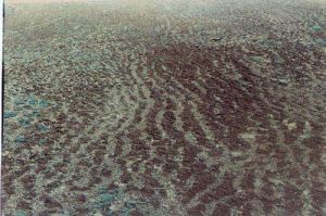 多邊形土 多邊形土