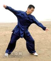 鬆柔的動作 培養氣感