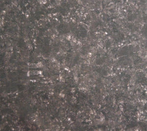 寶黑 | Precious Black |