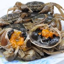 寧波醉河蟹 寧波醉河蟹
