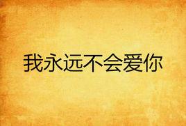 我永遠不會愛你 我永遠不會愛你