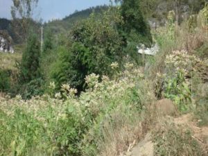 老房子自然村 老房子自然村