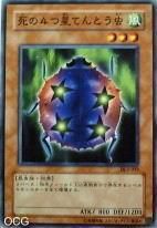 死之四星瓢蟲 死之四星瓢蟲