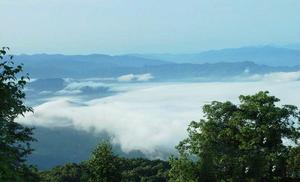 四川老君山國家級自然保護區 四川老君山國家級自然保護區