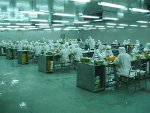 優德樂食品公司 優德樂食品公司