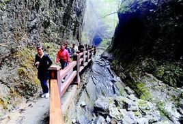坪壩營原始森林公園 坪壩營原始森林公園