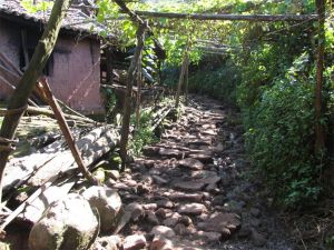 幸谷自然村 幸谷自然村