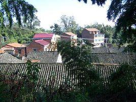 後坂村[浙江省紹興新昌縣雙彩鄉下轄行政村]