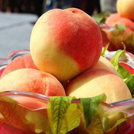 充國香桃 充國香桃