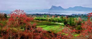 昌江黎族自治縣  