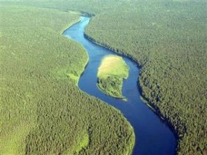 伯朝拉河 伯朝拉河