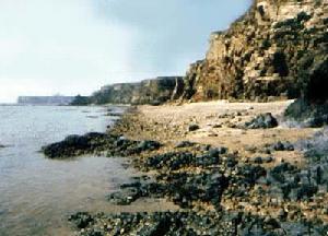 海洋的地質作用 海洋的地質作用