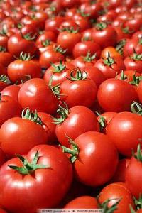 紅色蔬菜 紅色蔬菜