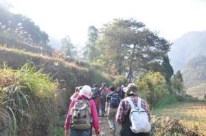 南柴莊村 南柴莊村