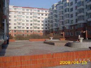 陽光綠色家園 陽光綠色家園