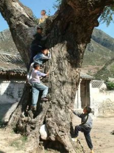 空巢里的孩子 空巢里的孩子
